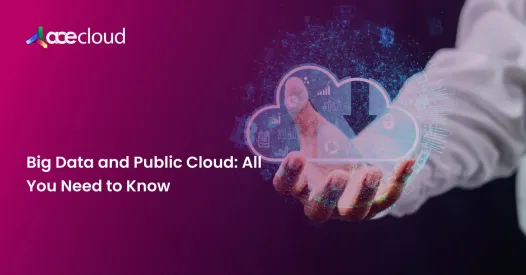 Big Data and Public Cloud: All You Need to Know